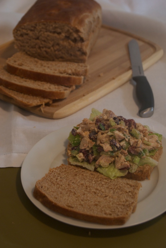 Cranberry and Pecan Chicken Salad | Insatiably